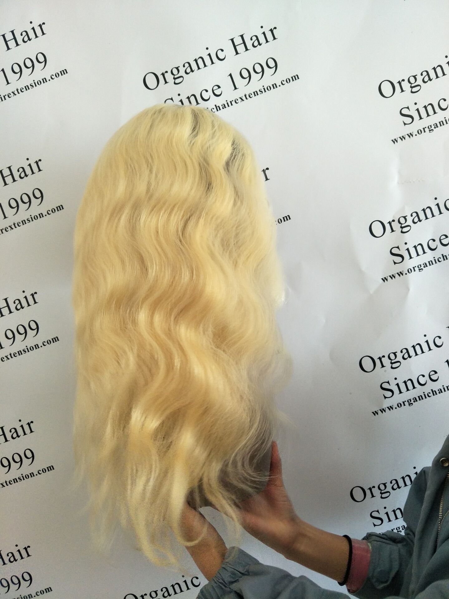 Beautiful full lace wigs with baby hair from Organic hair R9